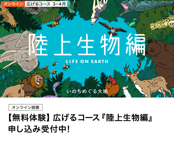 広げるコース（オンライン）『陸上生物編』【無料体験】申し込み受付中！